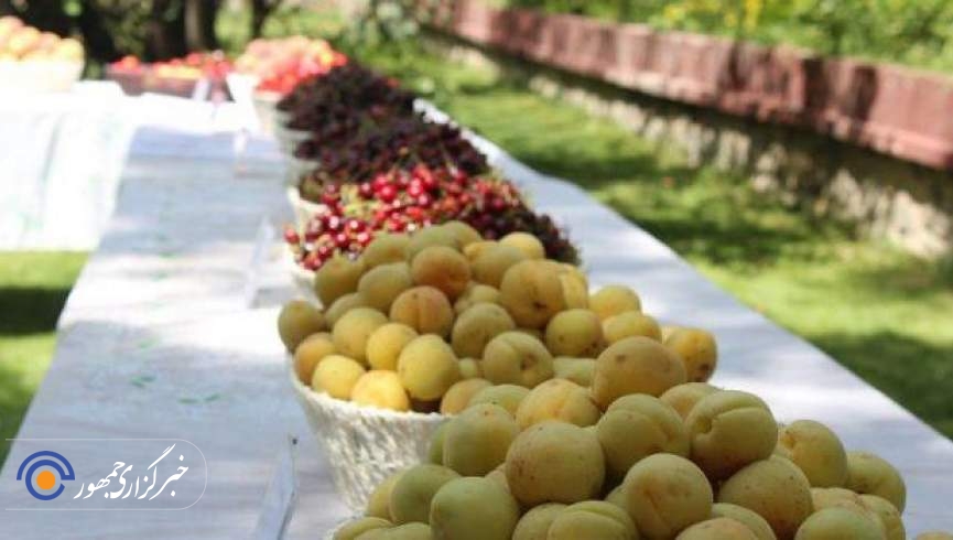 وزارت زراعت:افغانستان پس از این در تمام فصول سال میوه تازه خواهد داشت