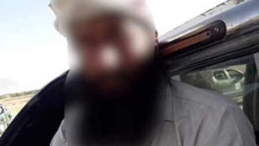 یک عضو برجسته گروه طالبان در پروان بازداشت شد