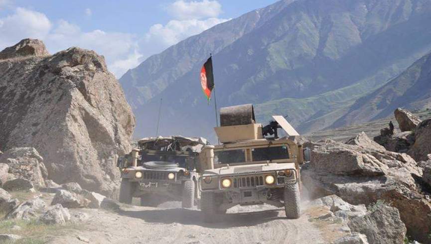 طالبان فراه در نبرد با دولت پنج کشته و 10 زخمی دادند