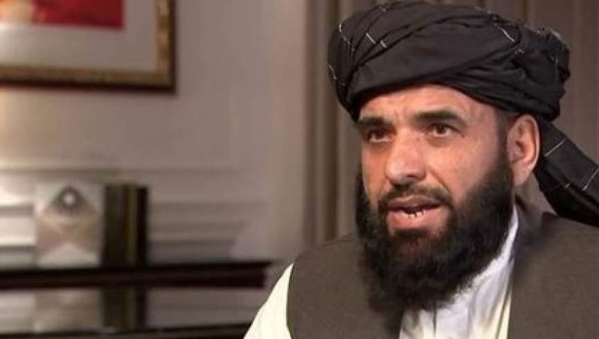 شاهین: نمایندگان امریکا و طالبان در مورد امضای توافقنامه صلح گفتگو کردند