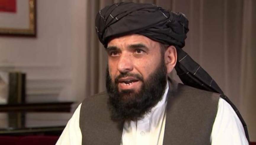 سهیل شاهین: نمایندگان طالبان با خلیلزاد و وزیر خارجه قطر بحث کردند