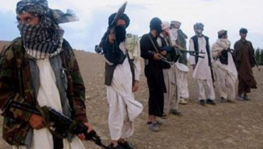 اولین نقض تعهد کاهش خشونت از سوی طالبان در بلخ؛ طالبان به شکل گروهی بالای ولسوالی زارع حمله کردند