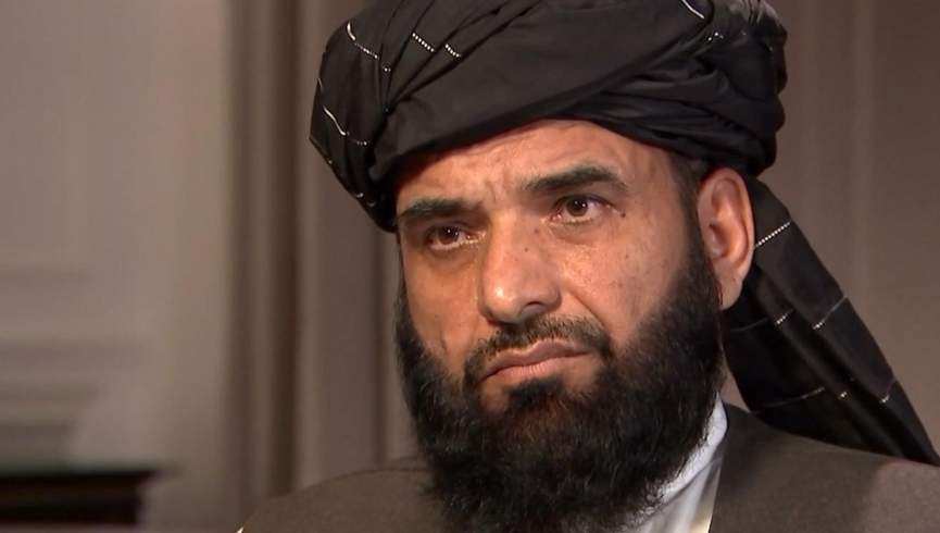 سهیل شاهین: ادعای مخالفت طالبان با مذهب جعفری افواهات است