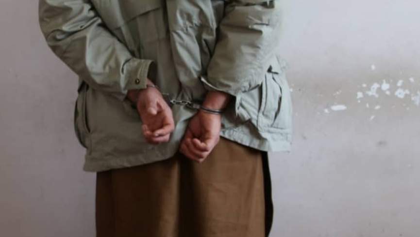 یک عضو طالبان در شهر چاریکار پروان بازداشت شد