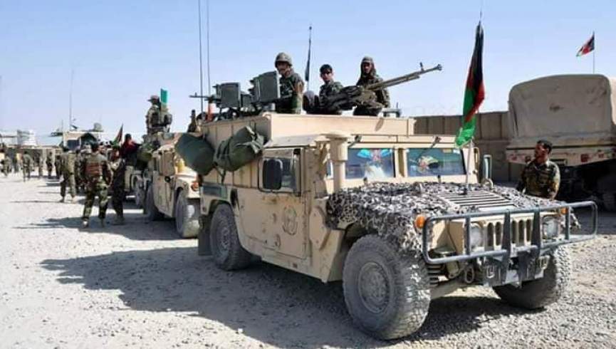 تلفات سنگین طالبان در یک شبانه روز گذشته؛ 270 طالب کشته و زخمی شدند