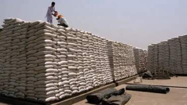 محموله گندم صادر شده از هند به ترکیه برگشت داده شد