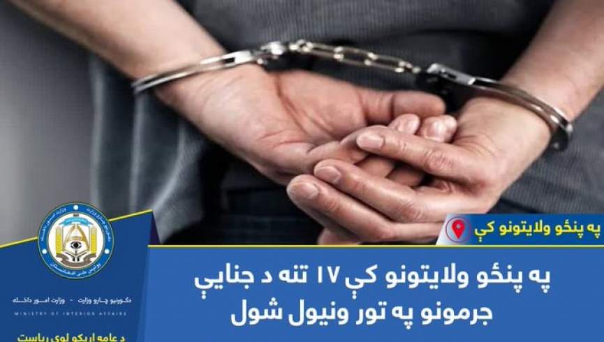 17 تن در پیوند به سرقت و قاچاق انسان از ولایات مختلف بازداشت شدند