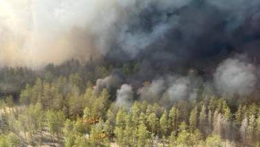 ۱۴ تن در آتش سوزی جنگل های قزاقستان کشته شدند