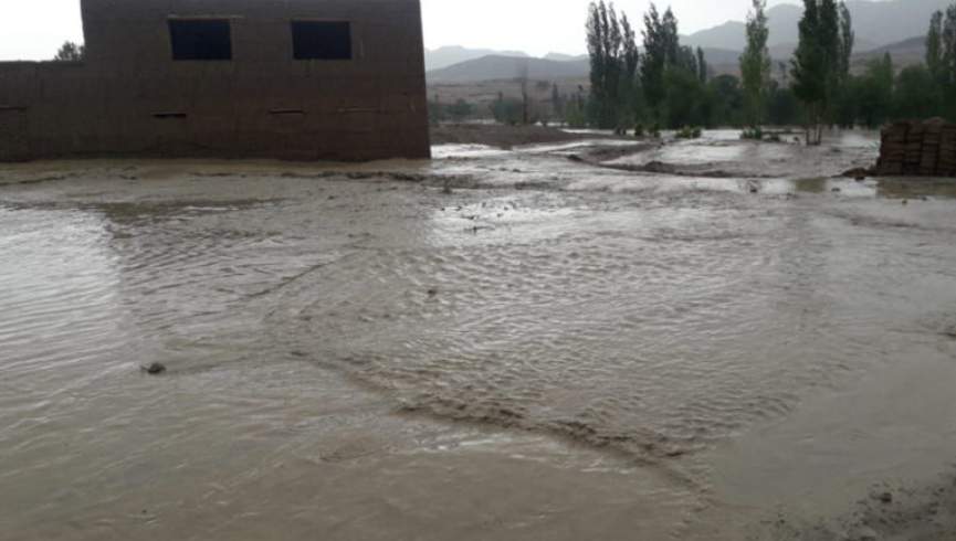 سیلابونو غزني کې ۲ زره جرېبه ځمکه ویجاړه کړې