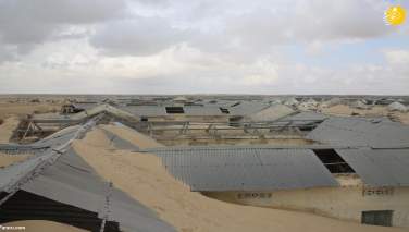 طوفان ریگ چند شهر سومالیا را محو کرد!