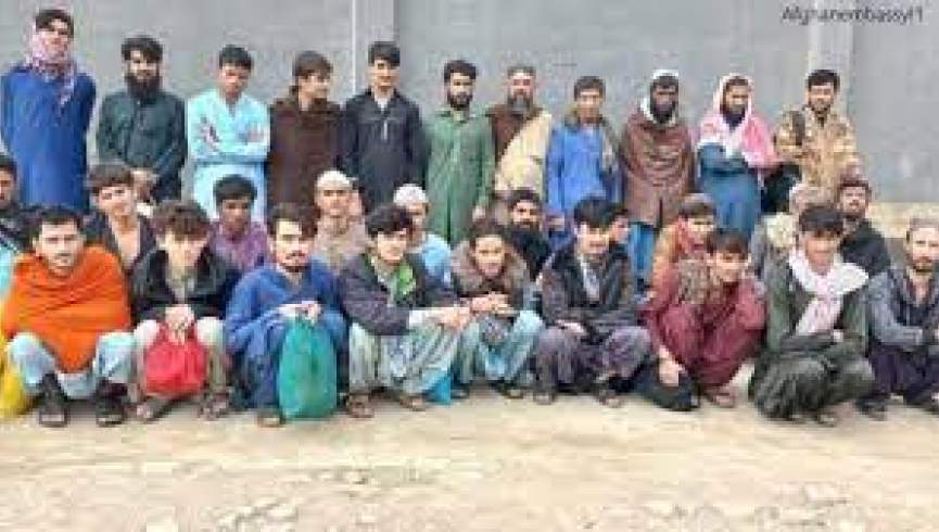 ملګرو ملتونو پاکستان کې د افغان کډوالو د نیولو د درېدو غوښتنه وکړه