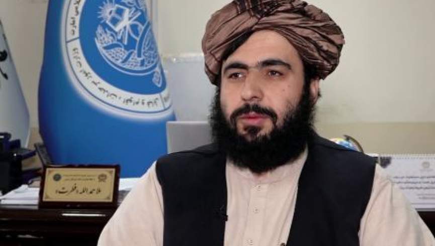 یک مولوی به عنوان معاون سخنگوی گروه طالبان تعیین شد