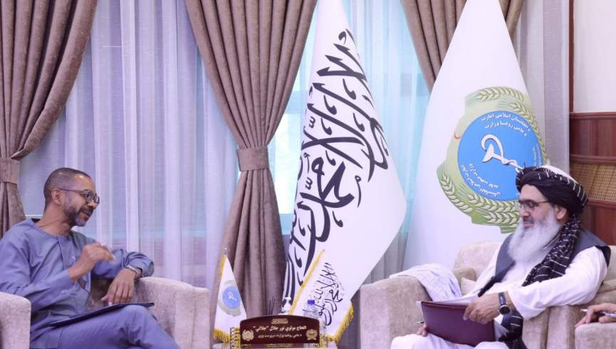 مذاکره طالبان با برنامه عمران ملل متحد: گسترش برق آفتابی و کنترل بیماری‌ها در مراکز صحی افغانستان