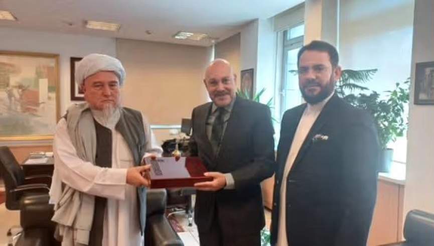 تحویل اعتبارنامه سفیر رژیم طالبان در انقره به وزارت خارجه ترکیه