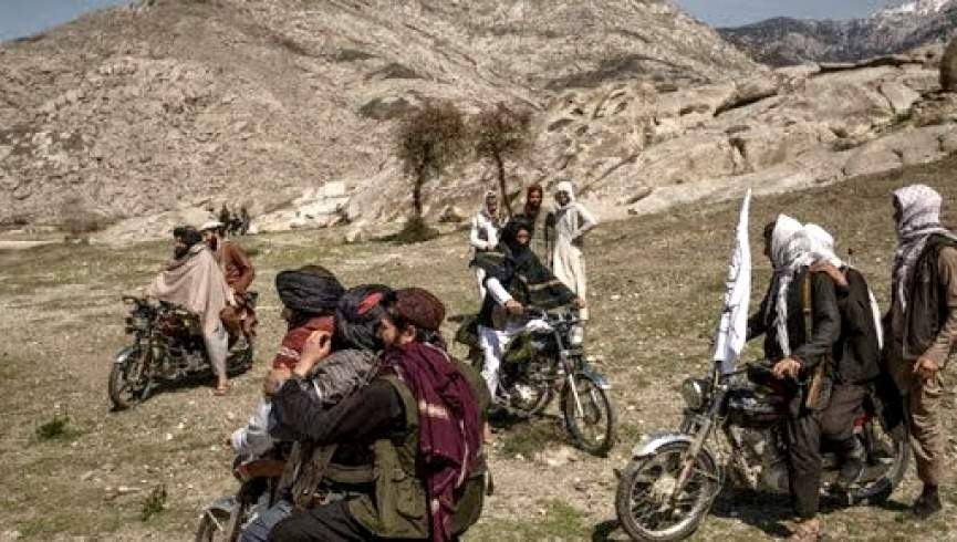 طالبان مسلح ۷ دختر جوان را از ولسوالی لعل و سرجنگل ربودند
