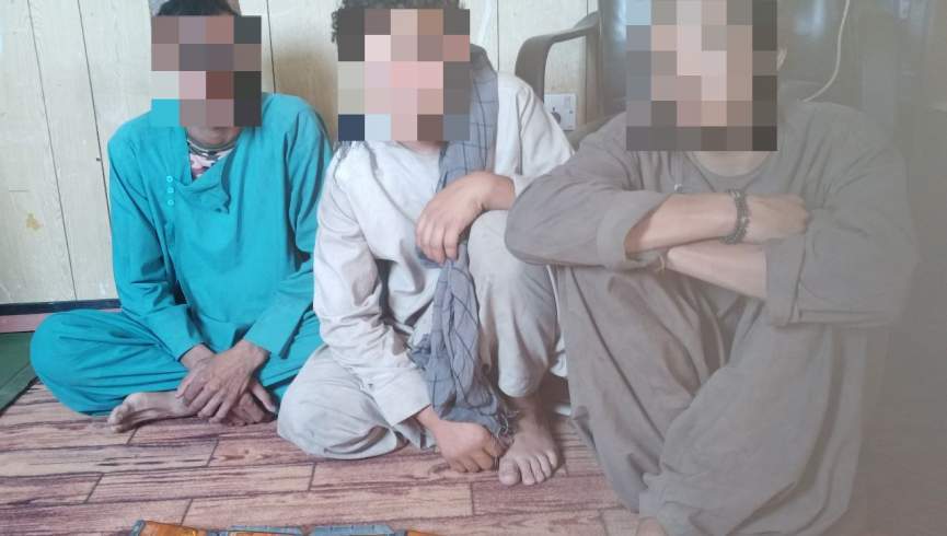 په هرات کې درې تنه غله نیول شوي