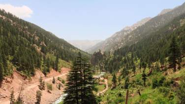 احیای بیش از یک هزار هکتار جنگلات در نورستان توسط فائو