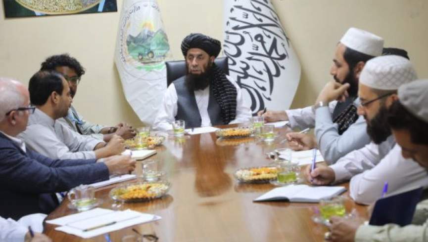 طالبان او د خوړو او کرنې سازمان په افغانستان کې د تخمونو په تدارکاتو تمرکز کوي