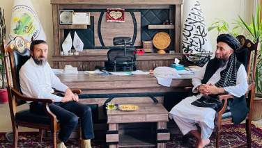 طالبان و ترکیه درباره تطبیق کشت گل آفتاب‌پرست در افغانستان گفتگو کردند